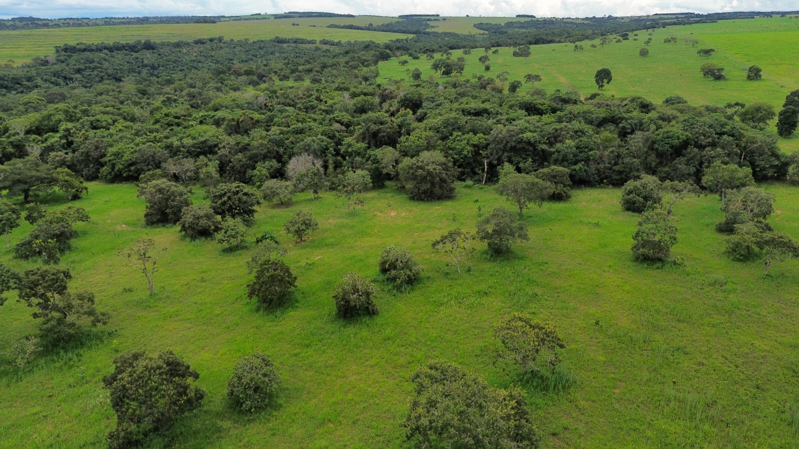 Licenciamento Ambiental - Fazenda Serra Verde