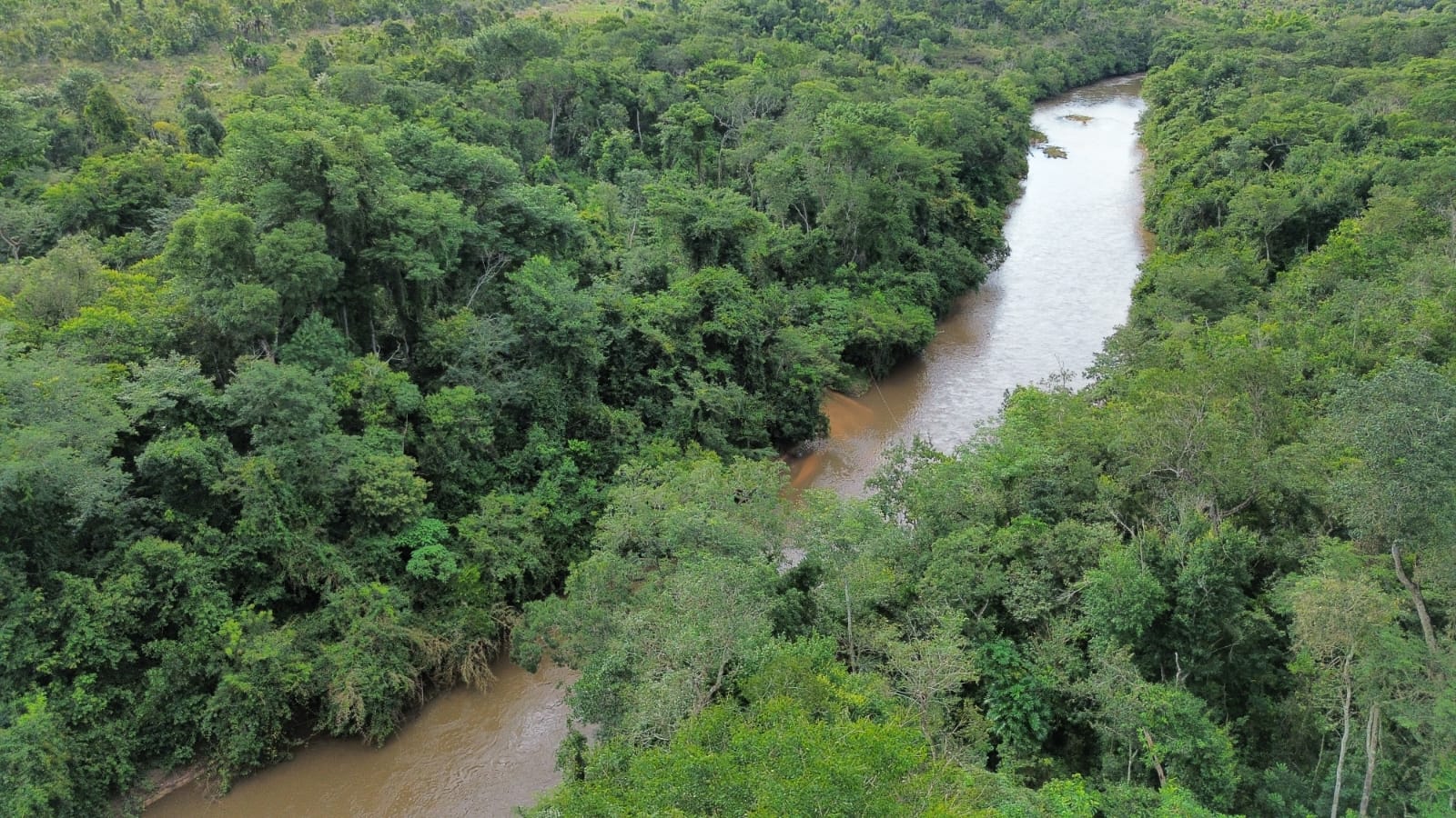 PRAD - Recuperação de APP Rio Corrente