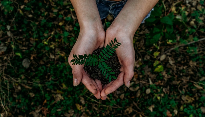 Equipe da Parceria Ambiental em trabalho de campo
